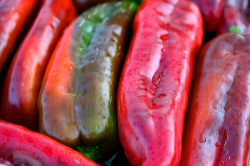 New harvest of Italian red sweet bell peppers