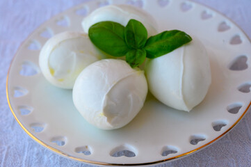 Fresh soft white italian cheese mozzarella buffalo made from Italian buffalo's milk by pasta filata method
