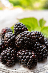 Ripe healthy antioxidant black currant or bramble berries