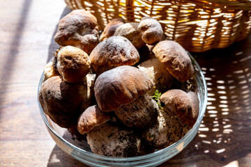 King of edible mushrooms, boletus edulis porcini cepe ready to cook in pasta or ravioli