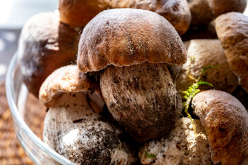 King of edible mushrooms, boletus edulis porcini cepe ready to cook in pasta or ravioli