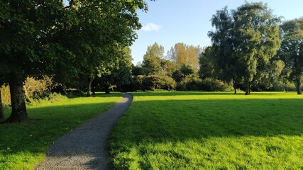 path in the park