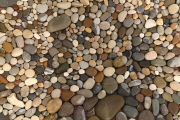 Pile sea gray stones Background from sea wet gray stones