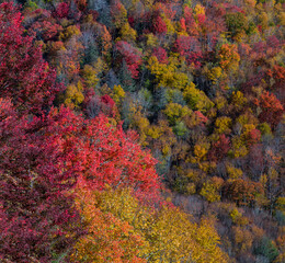Naklejka na ściany i meble Autumn in the Great Smoky Mountains National Park