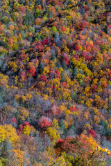 Fototapeta na wymiar Autumn in the Great Smoky Mountains National Park