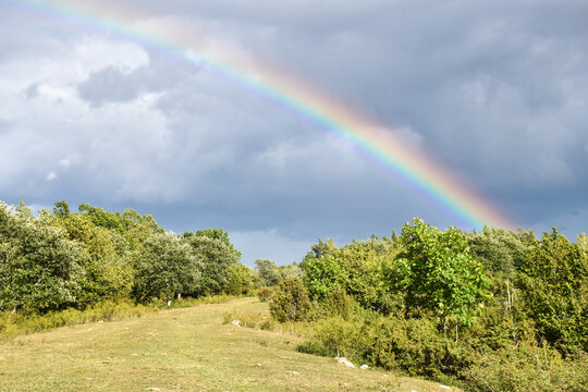 Beautiful rainbow by a green landscape