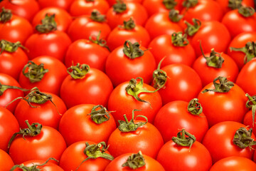 Red tomatoes background. Closeup