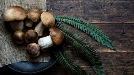 Fresh forest mushrooms /Boletus edulis (king bolete) / penny bun / cep / porcini and green fern on...