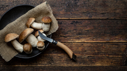 Fresh forest mushrooms /Boletus edulis (king bolete) / penny bun / cep / porcini / mushroom and...