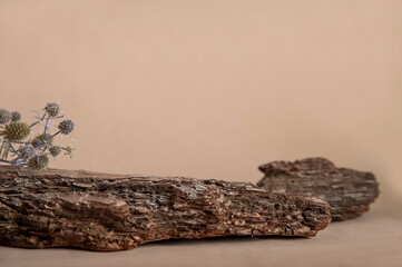 Minimal background for branding and product presentation. Spruce and pine bark as a podium for an object close-up and copy space.
