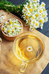 cup of herbal chamomile tea and daisy flowers on white background doctor treatment and prevention of immune concept, medicine - folk, alternative, complementary, traditional medicine
