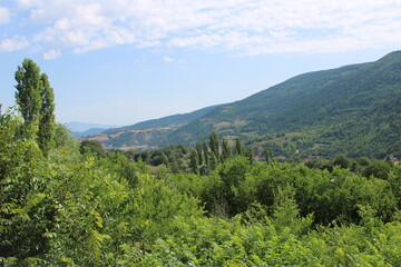 Fototapeta premium landscape with sky