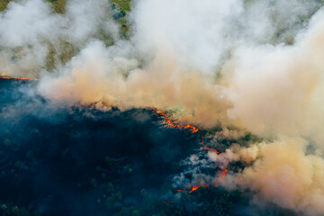 Clouds of smoke above dry burning field, natural disaster wildfire. Burning nature with fire, aerial view.