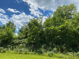 Minnesota Scenic Landscape in the Summer Time