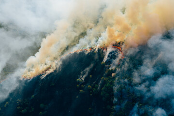 Aerial view smoke clouds of wild fire. Fire in forest spreads, natural disaster. Dry grass and trees burning. Climate change concept.