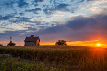 A low sun warms an old, weathered barn on a corn field in rural America © Andrew S.
