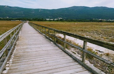 Fototapeta na wymiar wooden bridge in the mountains