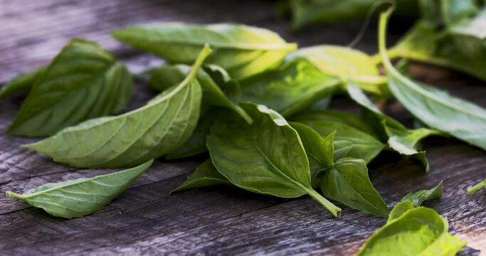 Green basilic leaves falling down on aged wooden table