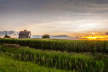 Fototapeta na wymiar Old barn on a corn field at sunset