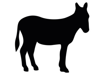 The donkey is domesticated. Vector image.