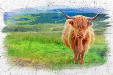 Fototapete Schottischer Hochländer Braune Hochlandkuh auf der Isle of Skye, Schottland, Aquarellmalerei  © shaiith