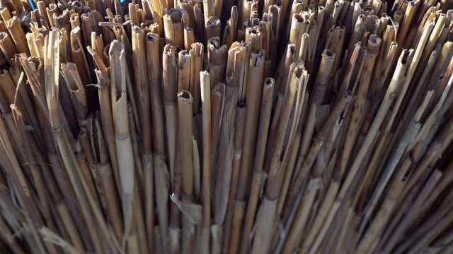 Bamboo Branch Bundle Slider Shot