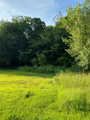 Minnesota Scenic Landscape in the Summer Time