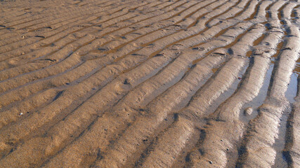 Fototapeta na wymiar Sandy beach at low tide, natural ripple sand patterns. Low sun creating beautiful highlighted shapes and shadow 