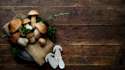 Fresh forest mushrooms /Boletus edulis (king bolete) / penny bun / cep / porcini / mushroom in an old bowl / plate and rosemary parsley herbs on the wooden dark brown table, top view background - obrazy, fototapety, plakaty