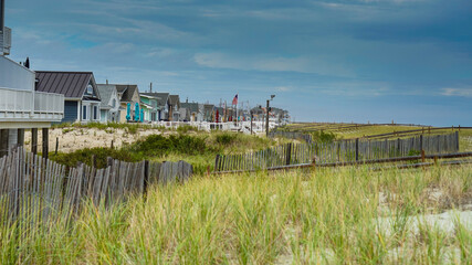 Fototapeta na wymiar Residential houses captured in low angle with tall beach grasses in the foreground and blue sky in the background