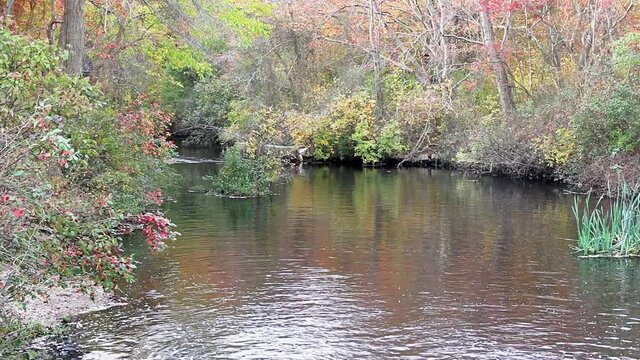 Water flowing downstream from Southards pond with colorful late autumn foliage on the sides..