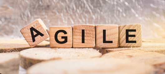 Wooden blocks with the word Agile. Business and finance concept.