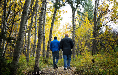 Two people walking on a path with autumn colours in the forest at Big Hill Springs Provincial Park Alberta.