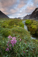 Fototapeta premium Itilleq Fjord, Greenland