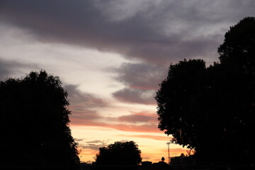 sky at dusk and silhouette of trees