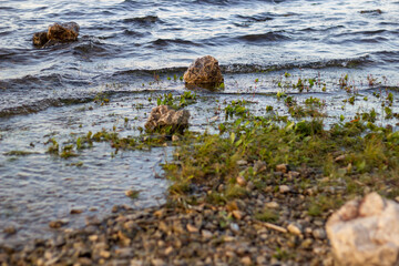 Камни в воде