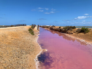 Salinas de San Pedro del Pinatar, Murcia