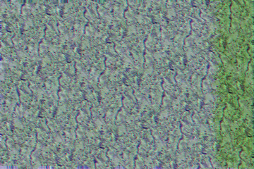 green glitch abstract pattern effect background wallpaper