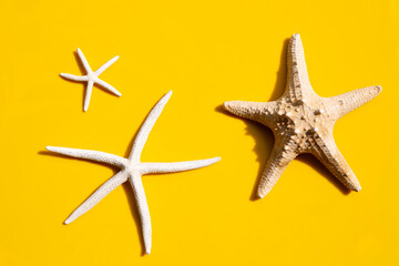 Fototapeta na wymiar Three starfish on yellow background.