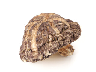 干し椎茸　大分県産　日本