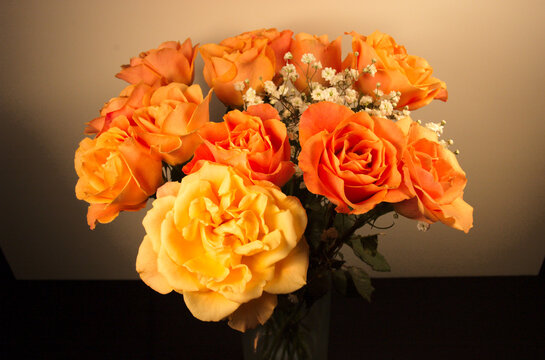 Peach colored Roses with Baby's Breath