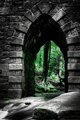 Gothic archway to fantasy woodland.