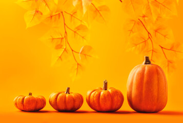 Total orange autumn, Halloween, Thanksgiving day concept. Pumpkins on orange background. Monochrome image