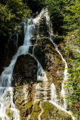 waterfall in the forest
