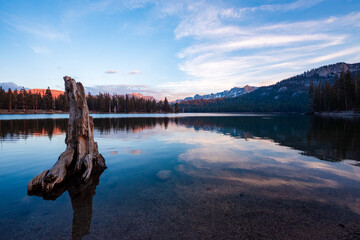 Horseshoe lake in Mammoth mountains area