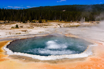 Boiling water of Crested pool in upper bassin of Yellowstone