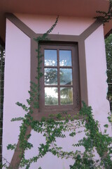 window with flowers