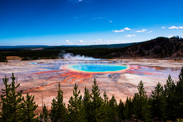 Wide angle view of the Grand Prismatic pool of Yellowstone