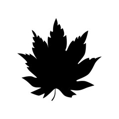 Maple leaf silhouette. Vector illustration. Design element isolated on white background.