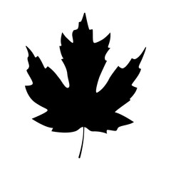 Maple leaf silhouette. Vector illustration. Design element isolated on white background.